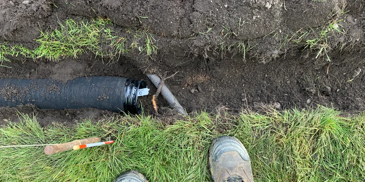 Why Is My Yard Eroding After Heavy Rain?